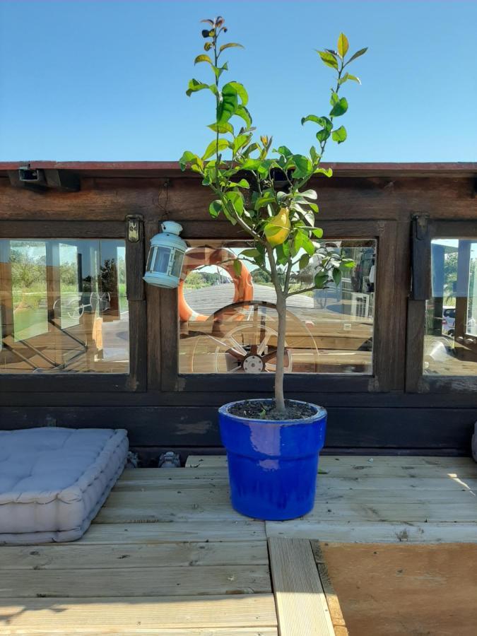 Peniche La Belle Aimee Hotel Айга-Мортас Екстериор снимка